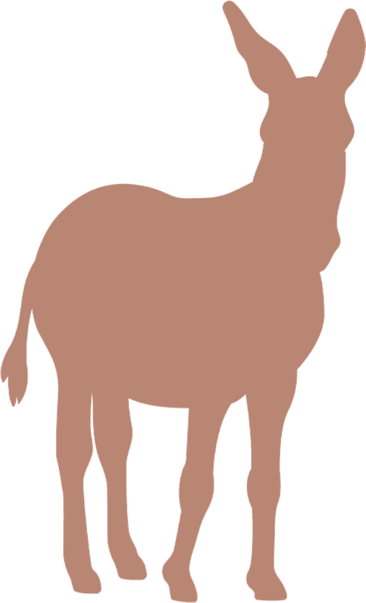 Burro platero y yo banner.png
